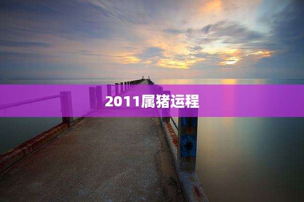 2011属猪运程