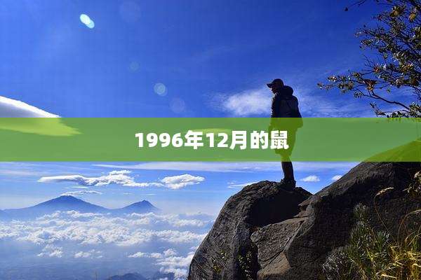 1996年12月的鼠