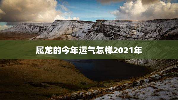 属龙的今年运气怎样2021年