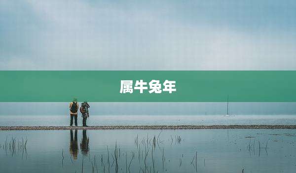 属牛兔年