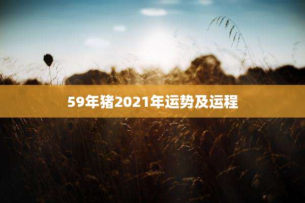 59年猪2021年运势及运程