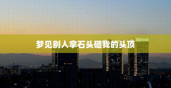梦见别人拿石头砸我的头顶