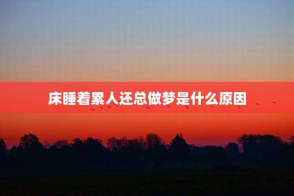 床睡着累人还总做梦是什么原因