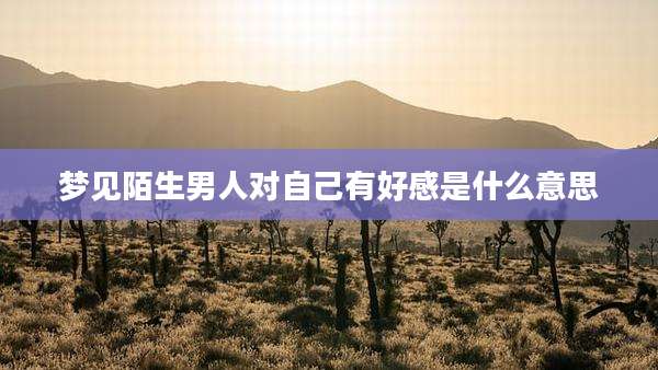 梦见陌生男人对自己有好感是什么意思