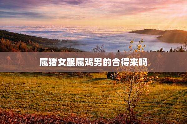 属猪女跟属鸡男的合得来吗