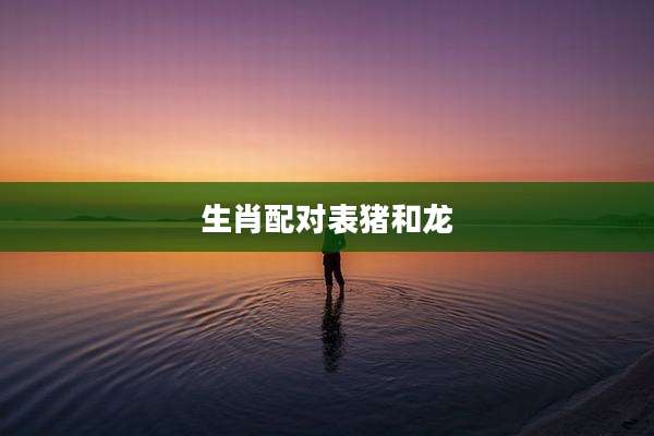 生肖配对表猪和龙