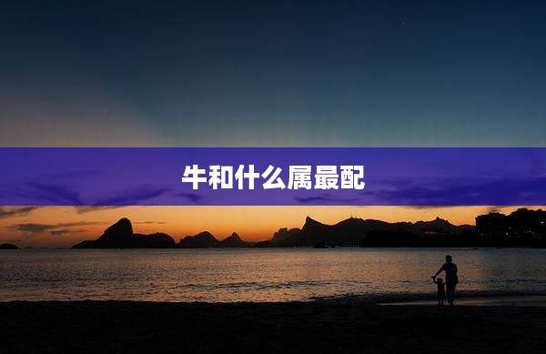 牛和什么属最配