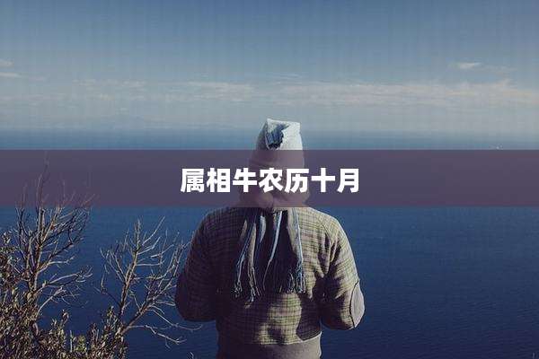 属相牛农历十月