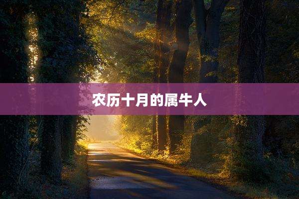 农历十月的属牛人