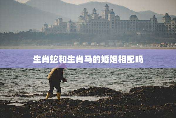 生肖蛇和生肖马的婚姻相配吗