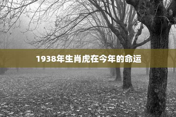 1938年生肖虎在今年的命运