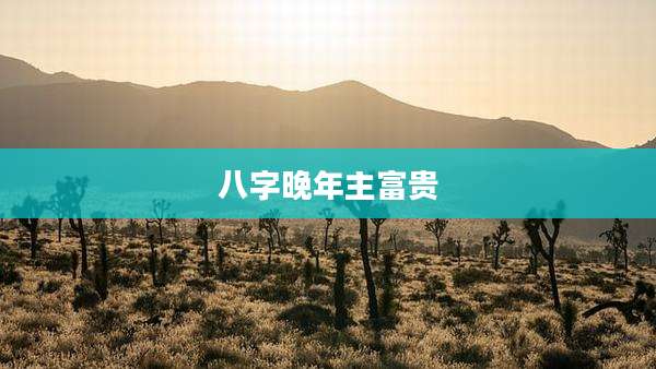 八字晚年主富贵