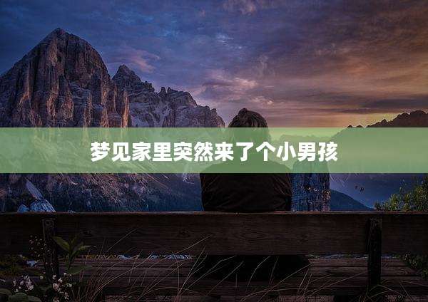 梦见家里突然来了个小男孩