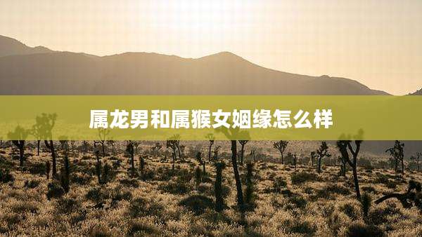 属龙男和属猴女姻缘怎么样