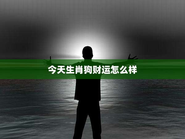 今天生肖狗财运怎么样