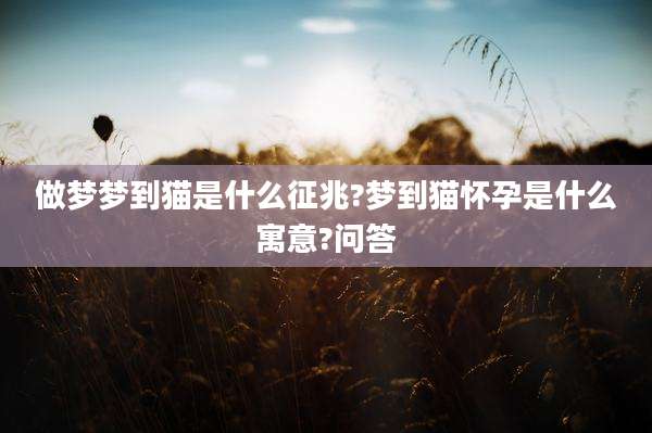 做梦梦到猫是什么征兆?梦到猫怀孕是什么寓意?问答