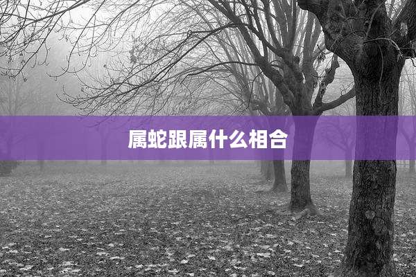 属蛇跟属什么相合