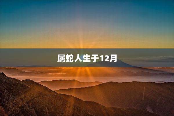 属蛇人生于12月