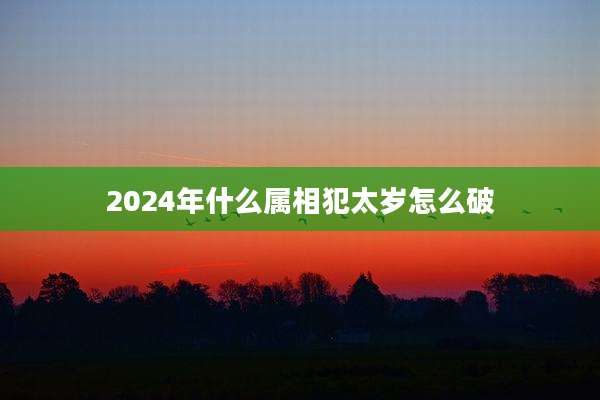 2024年什么属相犯太岁怎么破
