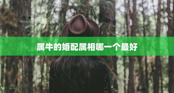 属牛的婚配属相哪一个最好