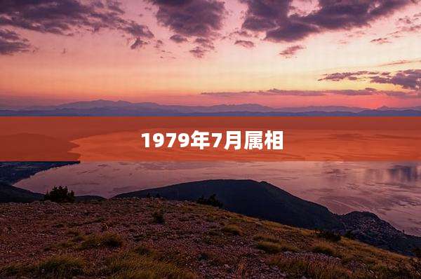 1979年7月属相