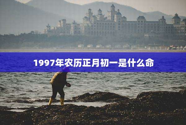 1997年农历正月初一是什么命