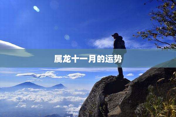 属龙十一月的运势