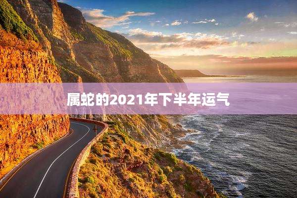 属蛇的2021年下半年运气
