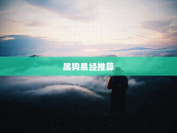 属狗易经推算