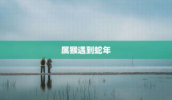 属猴遇到蛇年