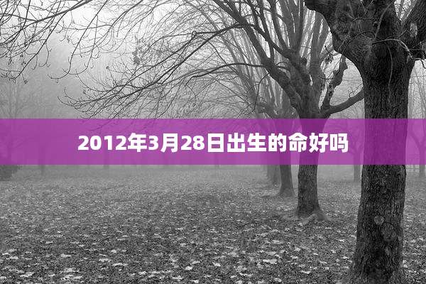 2012年3月28日出生的命好吗