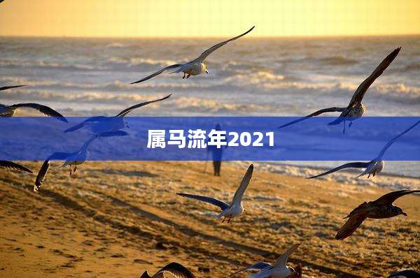 属马流年2021