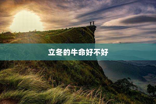立冬的牛命好不好