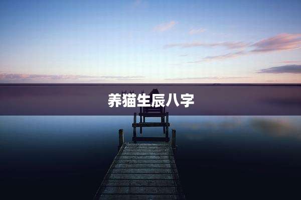 养猫生辰八字