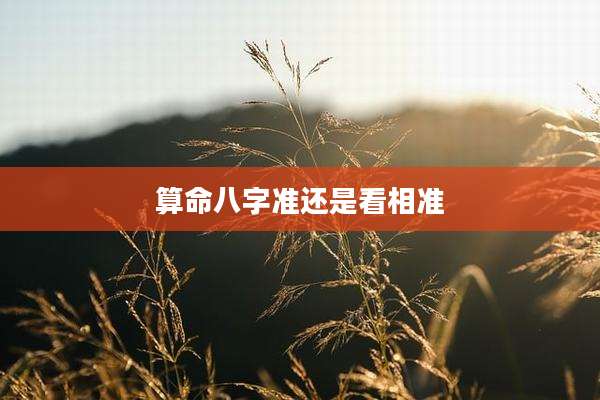 算命八字准还是看相准