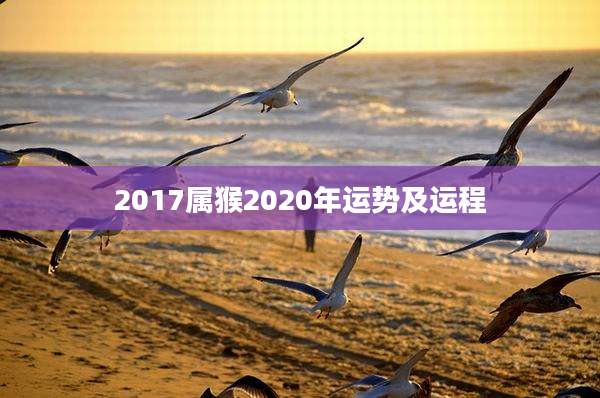 2017属猴2020年运势及运程