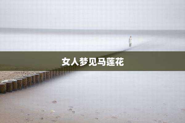 女人梦见马莲花