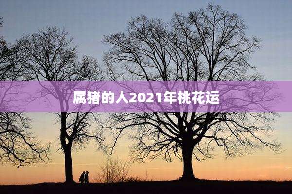 属猪的人2021年桃花运