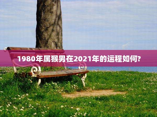 1980年属猴男在2021年的运程如何?
