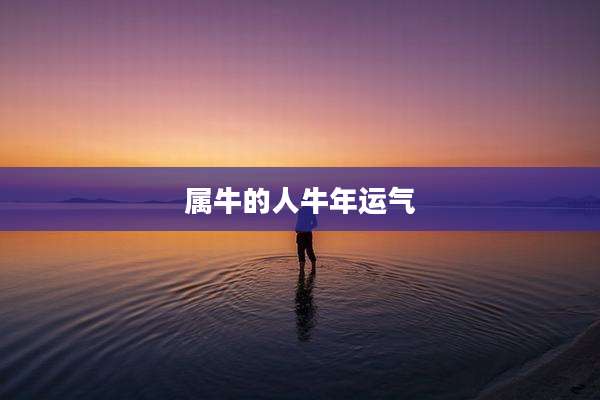 属牛的人牛年运气