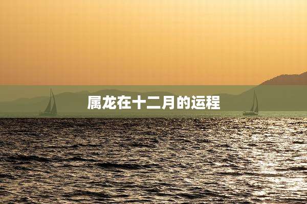 属龙在十二月的运程