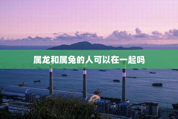 属龙和属兔的人可以在一起吗
