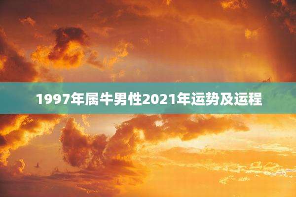 1997年属牛男性2021年运势及运程