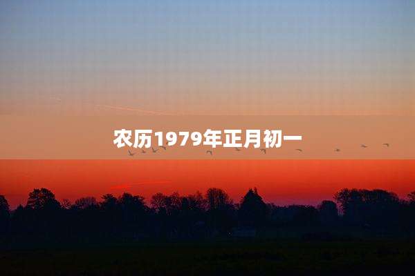 农历1979年正月初一