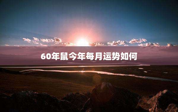 60年鼠今年每月运势如何