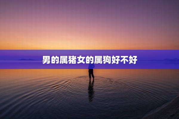 男的属猪女的属狗好不好