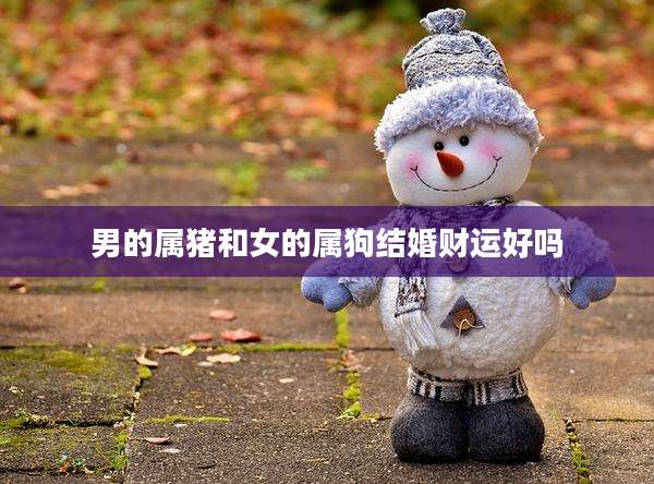 男的属猪和女的属狗结婚财运好吗