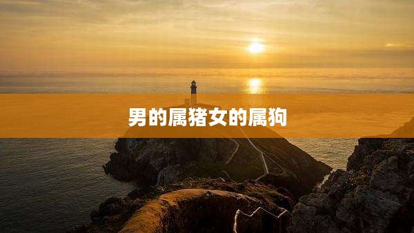 男的属猪女的属狗