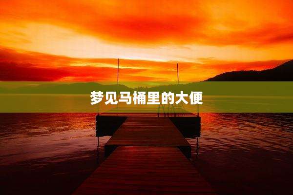 梦见马桶里的大便