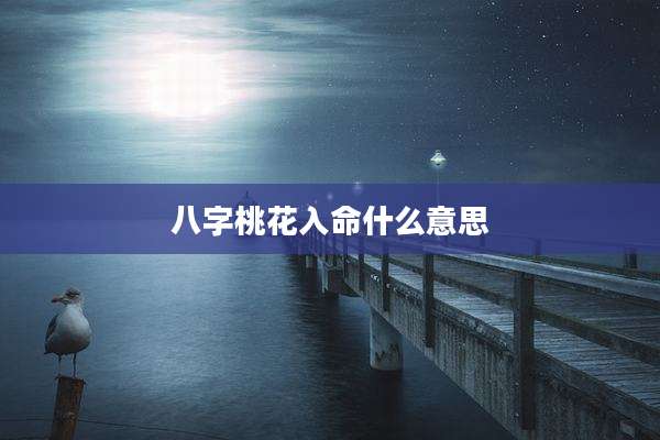 八字桃花入命什么意思